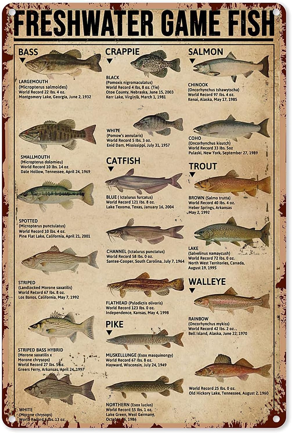Y1,Fishing Art Posters Metal S - Retro Gaming Decor review and price